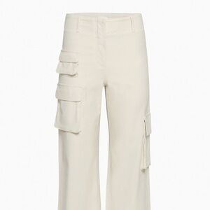 Aritzia Wilfred Free Picture Cargo Pants